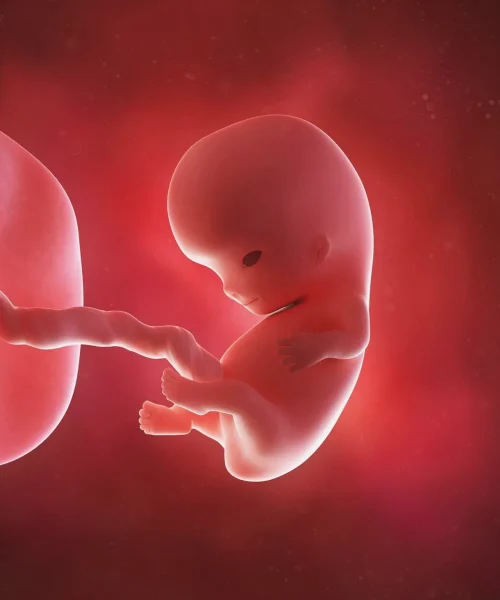 WhatsApp Image 2025-11-18 at 20.21.07_a03ef6e6