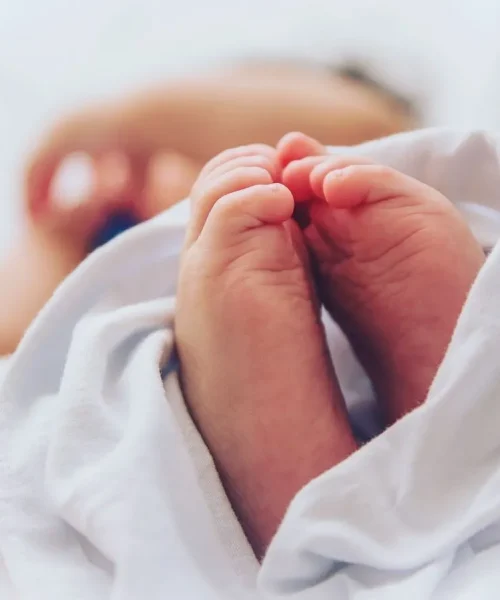 WhatsApp Image 2025-11-18 at 20.21.07_b6dd63c7